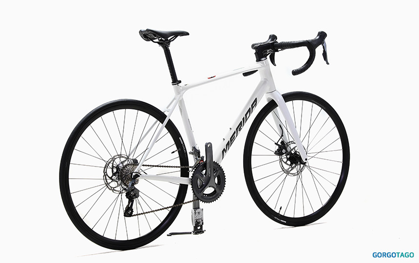 2026 메리다 스컬트라 100 화이트 컬러 디테일 이미지