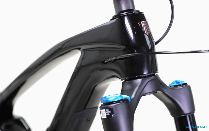 2025 TREK Fuel EX 9.8 GX AXS Gen 6 MTB frame detail 3